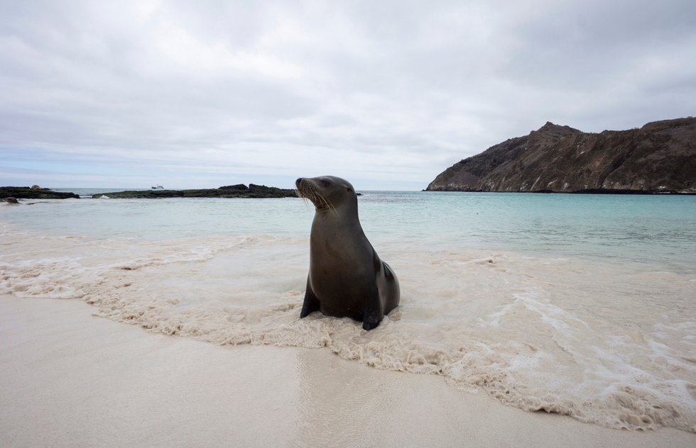 Best islands to visit in the Galapagos Islands