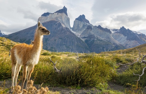 What Are the Safest Countries to Visit in South America Right Now? | Frommer's