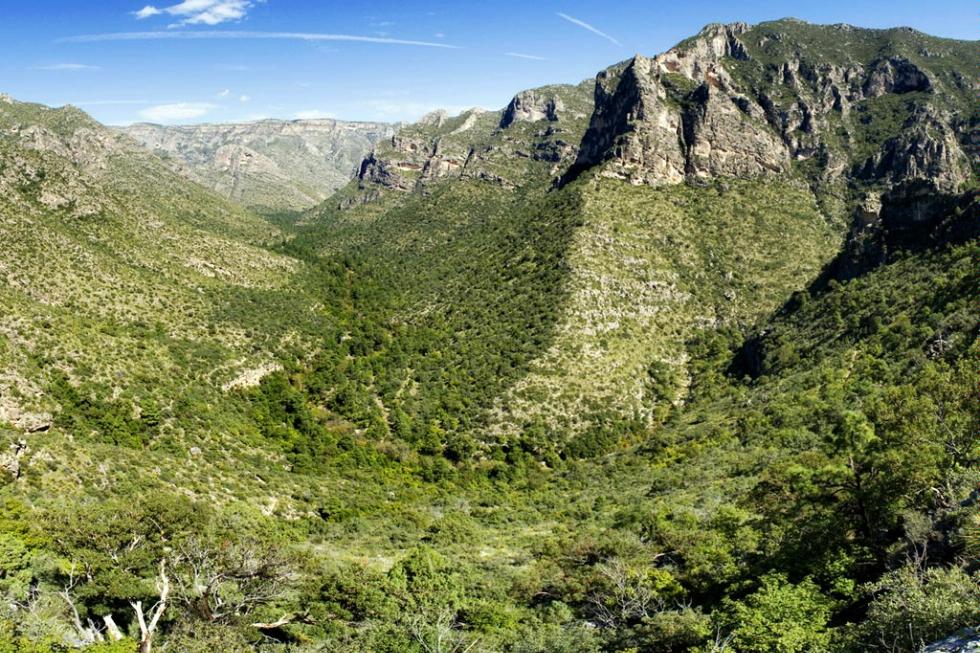McKittrick Canyon in Guadalupe Mountains National Park in Texas.